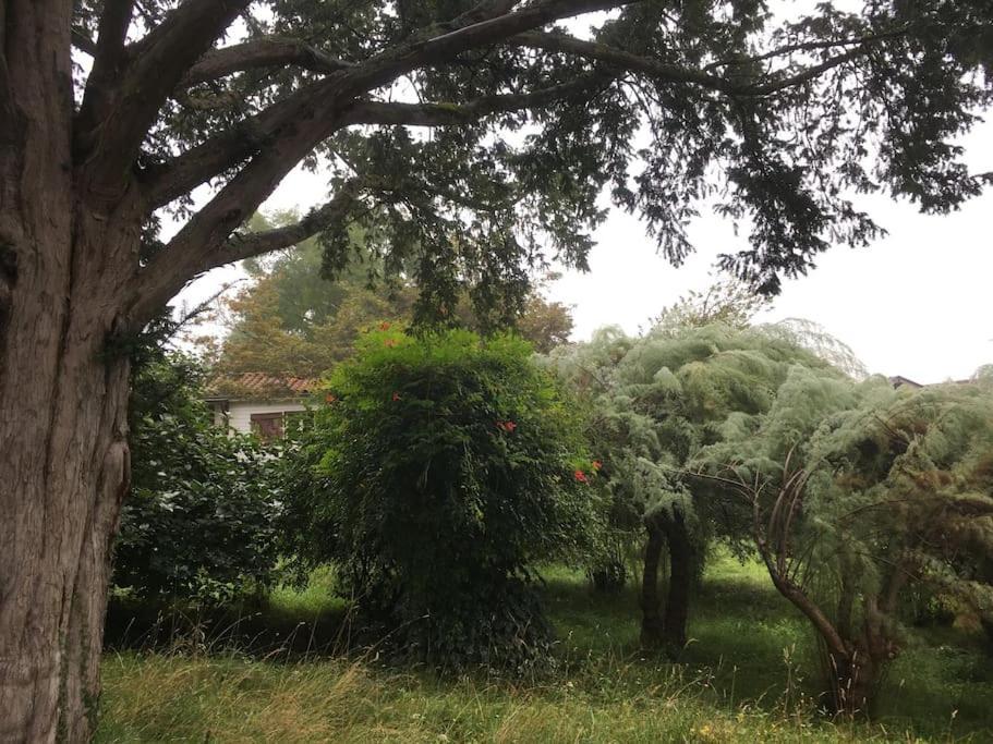Lerable Pourpre De La Grotte Au Lion Βίλα Arbon Εξωτερικό φωτογραφία
